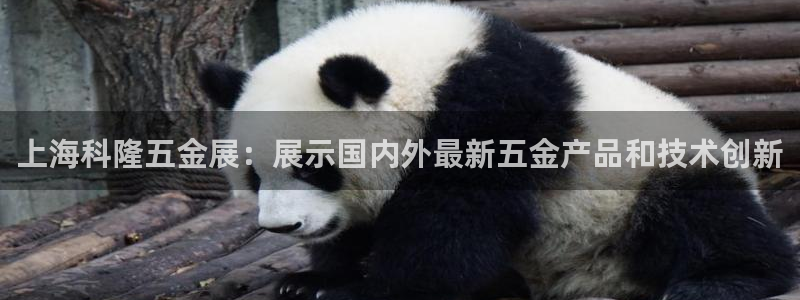 cq9传奇电子神龙秘宝