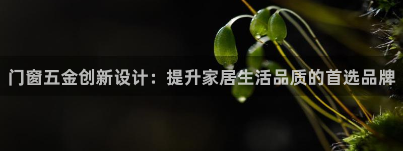 cq9电子的由来
