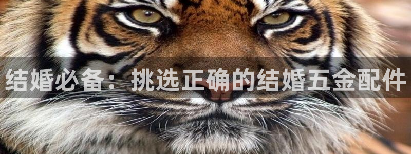 cq9电子游艺武圣