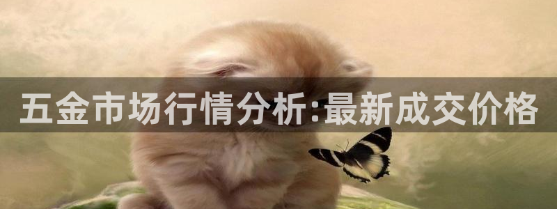 电子cq9是啥软件