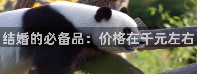 直播cq9电子游戏