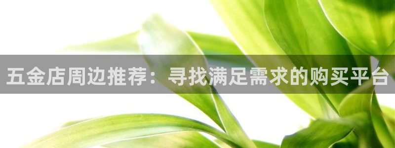 cq9电子忍者浣熊