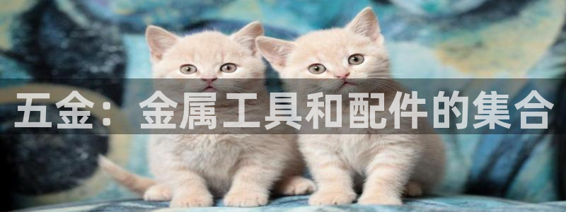 cq9电子怎么赢了