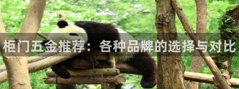 电子游戏cq9规则