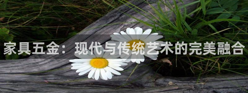 cq9传奇电子转盘