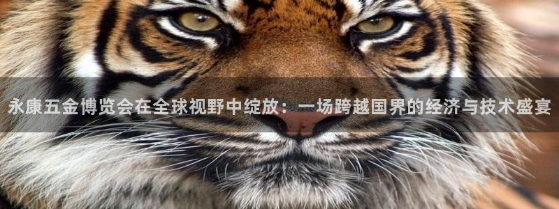 cq9电子大力神