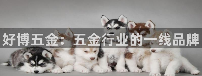 cq9电子单手跳