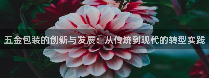 cq9电子有多坑