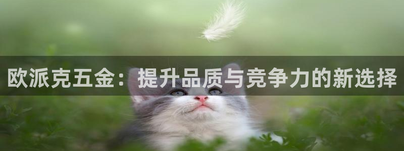 cq9电子宙斯他爹