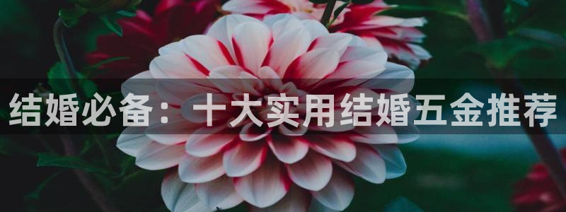 cq9电子大奖