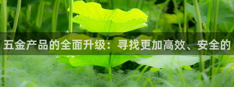 电子最新cq9游戏视频