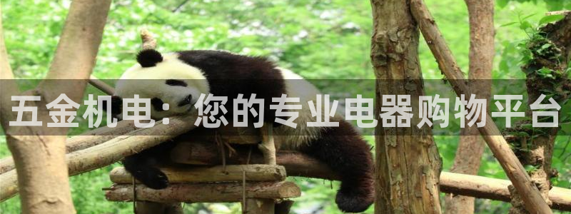 电子最新cq9游戏视频