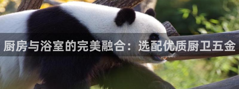cq9电子放水时间