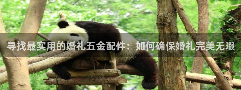 cq9电子传奇官网