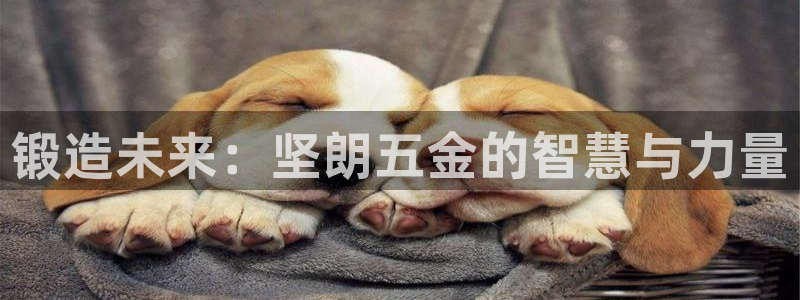 cq9电子讲解