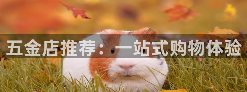 cq9电子冰之女皇