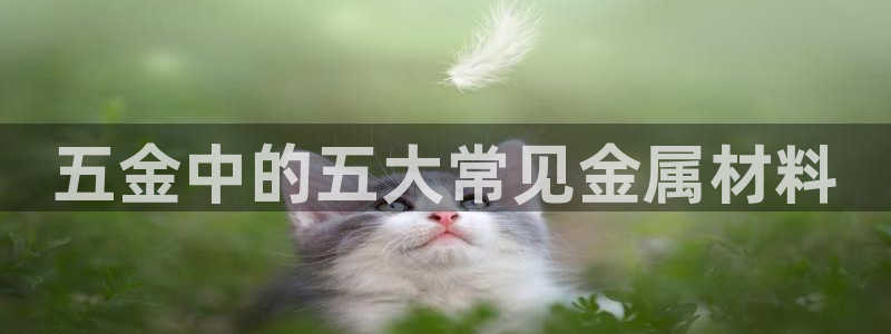 cq9电子火烧连环船