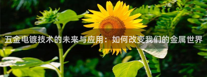 试玩电子cq9