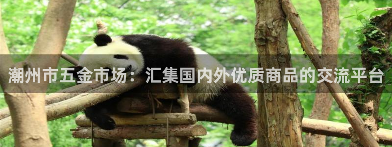 cq9电子维护后好打吗