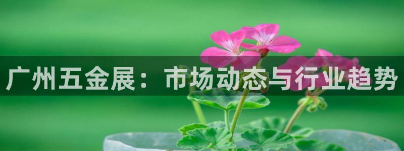 cq9电子忍者浣熊