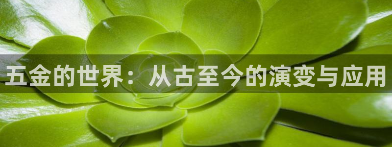 哪里可以看cq9电子