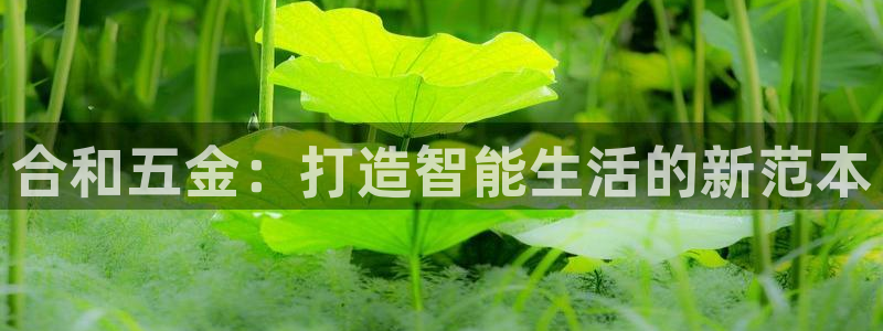 cq9电子游戏公司