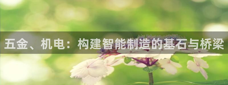 cq9电子足球宝贝