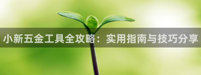 cq9电子武圣