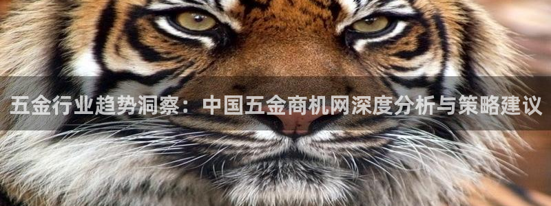 电子cQ9游戏大奖视频