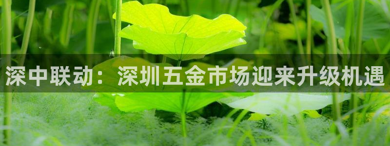 电子火神cq9