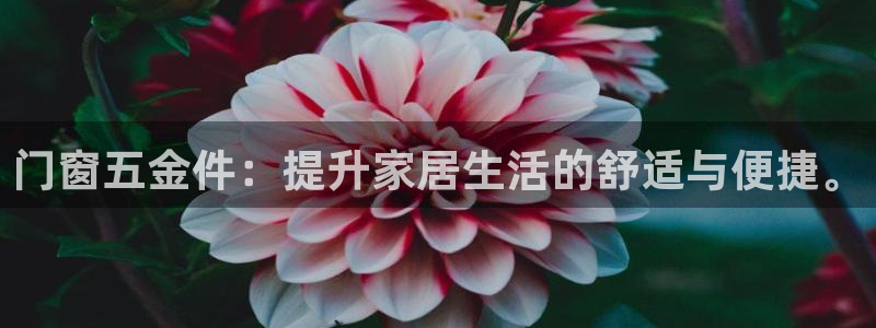 cq9电子游艺授权平台