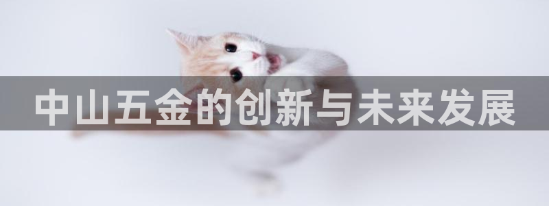 传奇电子游戏cq9