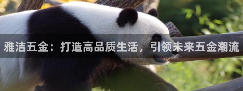 cq9电子平台下载