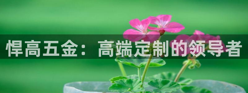 cq9宙斯电子下载