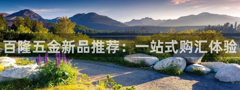 有cq9的电子棋牌