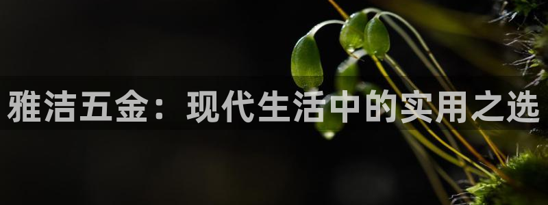 cq9电子超级大奖视频