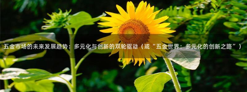 cq9电子水球大战