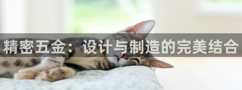 cq9传奇电子水世界