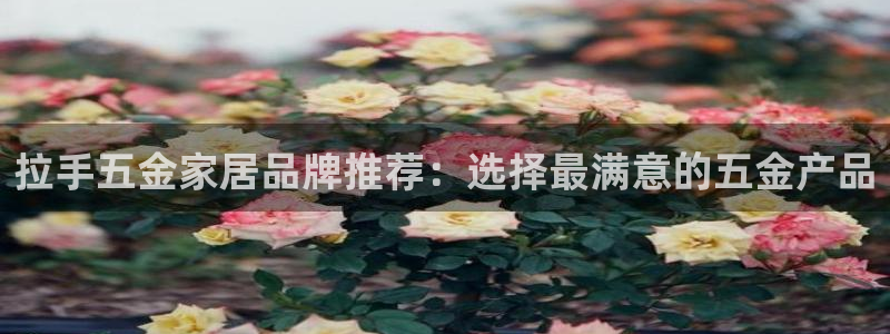 cq9传奇电子女王