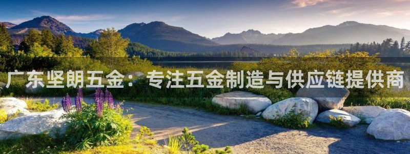 cq9电子板球狂热