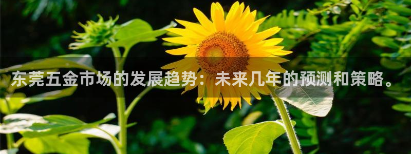 cq9火凤凰电子舞