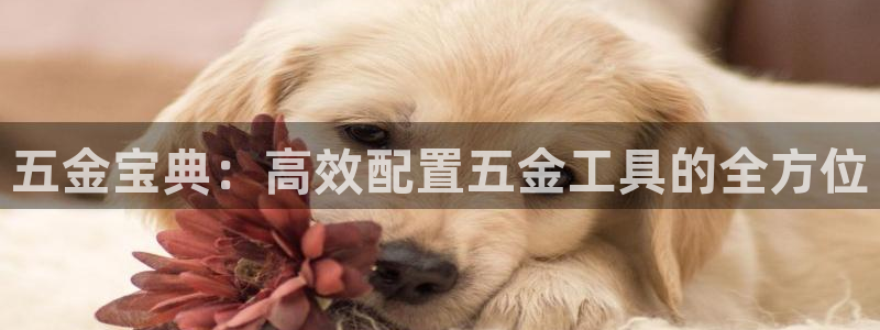 cq9电子游戏蹦迪