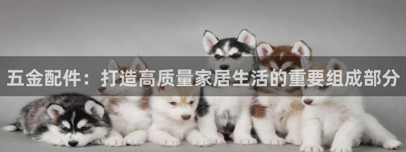 cq9电子单机游戏