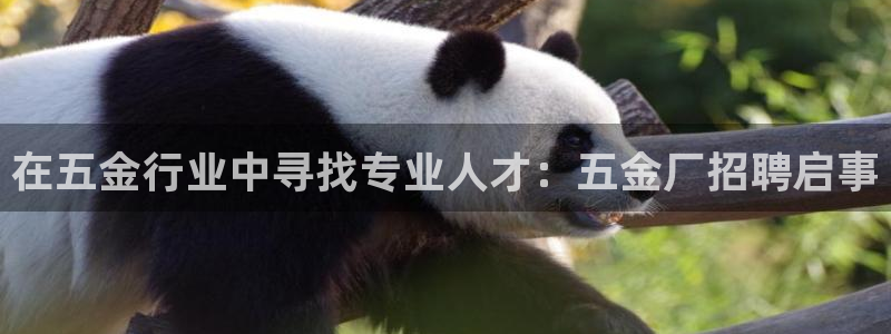 cq9电子神偷