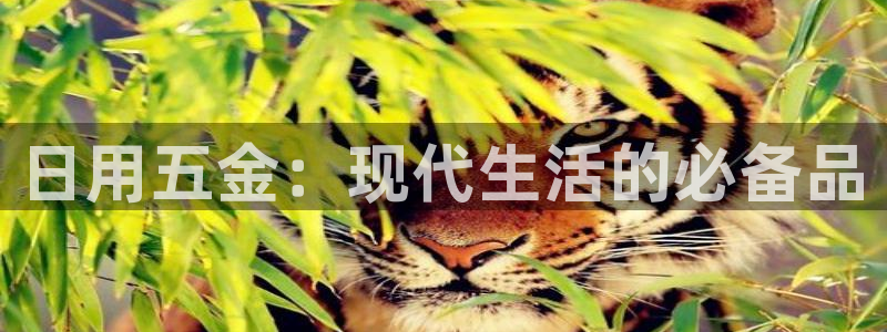 cq9传奇电子放水
